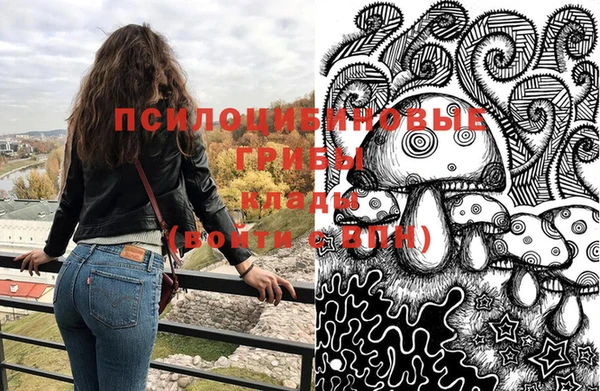 не бодяженный Нефтегорск